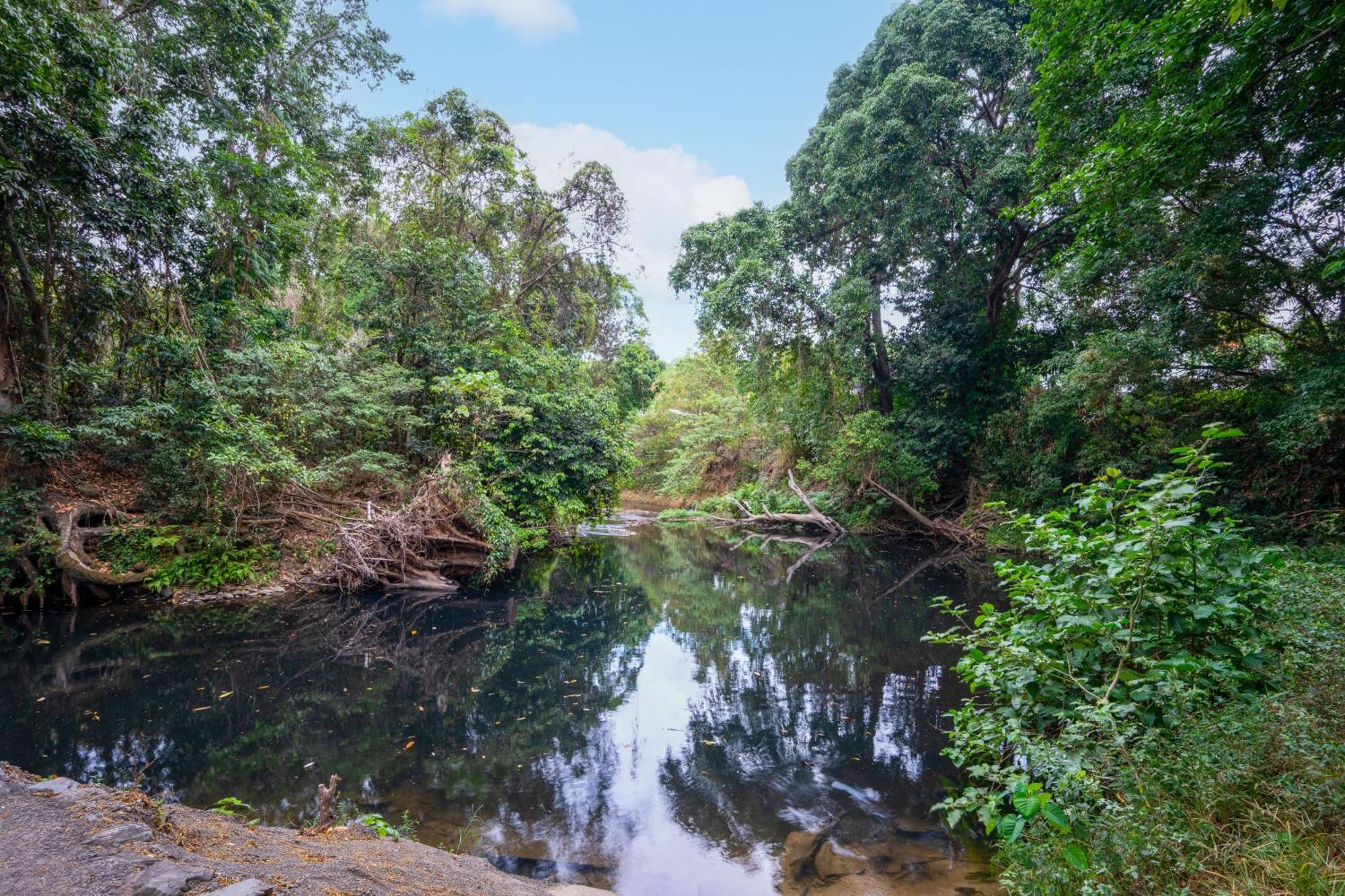 Tasman Holiday Parks - Cairns Cool Waters 外观 照片